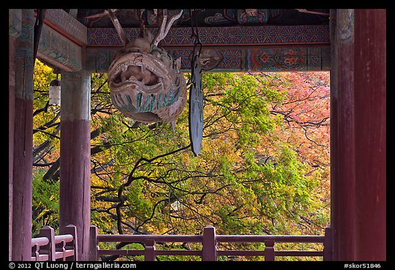 Fish-shaped gong and fall colors, Bulguk-sa. Gyeongju, South Korea (color)