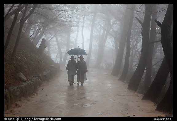 Nuns walking with unbrella on foggy path, Seokguram. Gyeongju, South Korea (color)