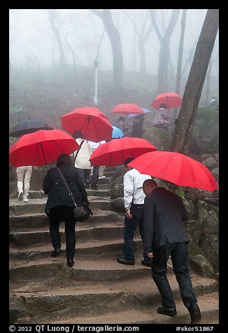 Pilgrims with red unbrellas, Seokguram. Gyeongju, South Korea