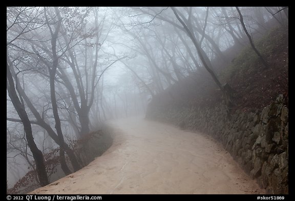 Path in fog, Seokguram. Gyeongju, South Korea (color)