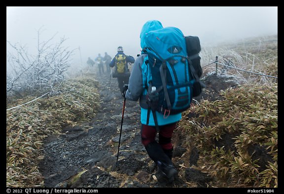 Backpackers on trail in fog, Hallasan. Jeju Island, South Korea