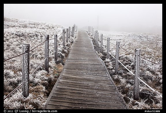 Boardwalk trail in frozen landscape, Hallasan. Jeju Island, South Korea