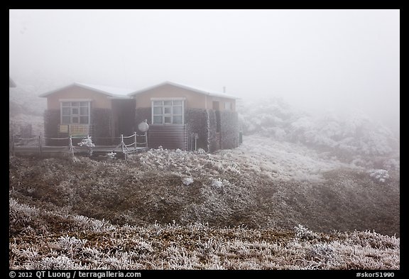 Witseoreum shelter in fog, Mount Halla. Jeju Island, South Korea