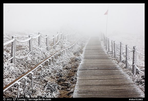 Frozen path and fog, Yeongsil trail, Hallasan. Jeju Island, South Korea (color)