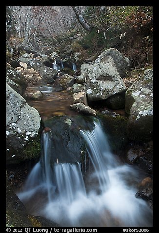 Cascading stream, Hallasan National Park. Jeju Island, South Korea