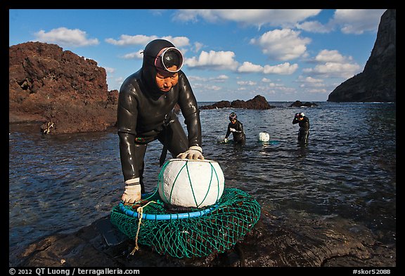 Haeneyo women with fresh catch, Seongsang Ilchulbong. Jeju Island, South Korea (color)