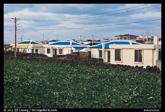 Houses with blue roofs, Seongsang Ilchulbong. Jeju Island, South Korea (color)