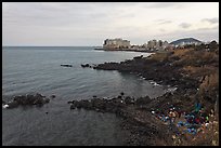 Seashore and Yongduam Rock, Jeju-si. Jeju Island, South Korea (color)