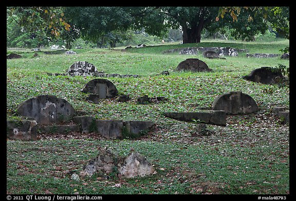 Tombs and trees, Bukit China cemetery. Malacca City, Malaysia (color)