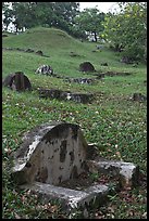 Chinese graves on hillside, Bukit China cemetery. Malacca City, Malaysia ( color)