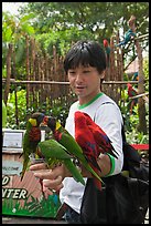 Man holding many parakeets on arm, Sentosa Island. Singapore