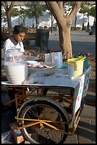 Food vendor with a wheeled food stand. Guadalajara, Jalisco, Mexico (color)