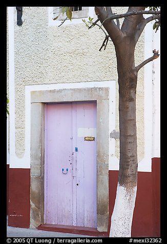 Door and tree. Guanajuato, Mexico (color)