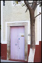 Door and tree. Guanajuato, Mexico