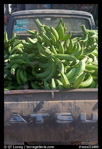 Bananas in the back of a pick-up truck. Mexico