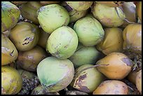 Coconuts. Mexico (color)