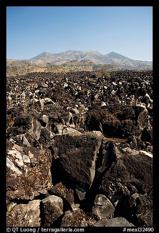 Hardened lava field. Mexico