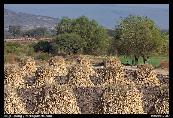 Stacks of corn hulls. Mexico