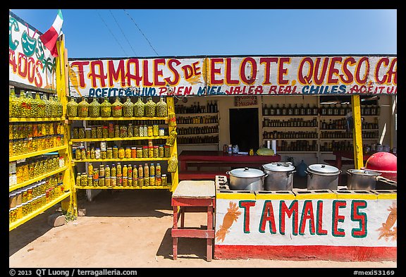 Roadside tamales stand. Baja California, Mexico (color)