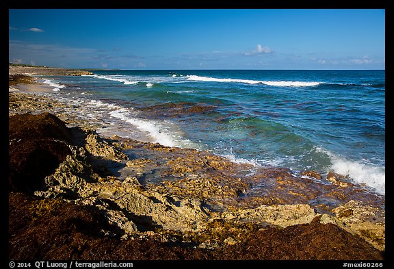 Rocky shoreline near Punta Sur. Cozumel Island, Mexico (color)