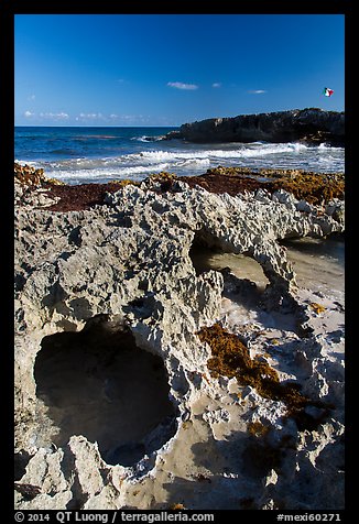 Rock with sea arches, El Mirador. Cozumel Island, Mexico (color)