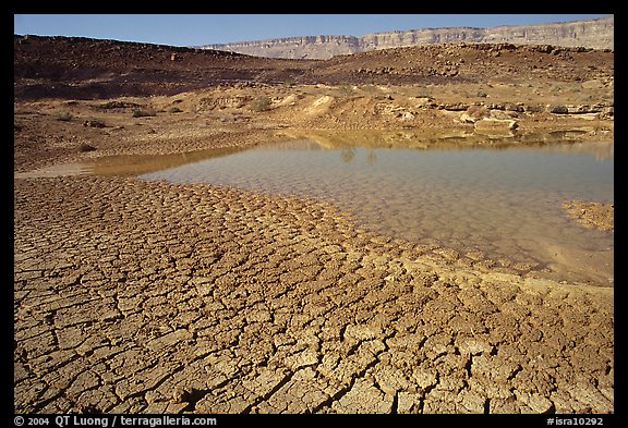 Cracked mud and shallow pond, near Mitzpe Ramon. Negev Desert, Israel (color)