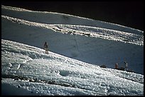 Alpinists training at the bottom of the Bossons glacier. Alps, France ( color)