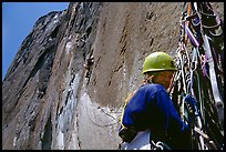 The belayer can relax once the rivet ladder is reached. El Capitan, Yosemite, California ( color)