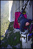 Looking for breakfast on the portaledge. El Capitan, Yosemite, California ( color)