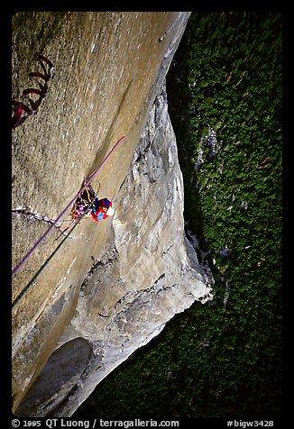 Belaying the following pitch, a thin crack in the middle of nowhere. El Capitan, Yosemite, California (color)