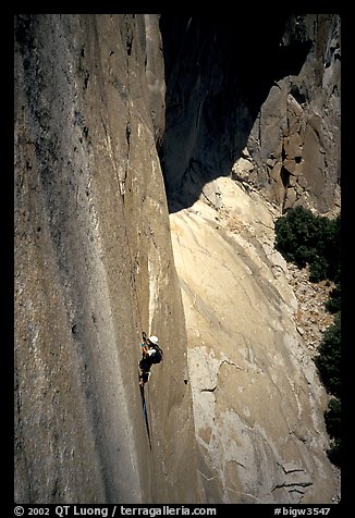 Ascending a fixed rope on  Mescalito, El Capitan. Yosemite, California (color)