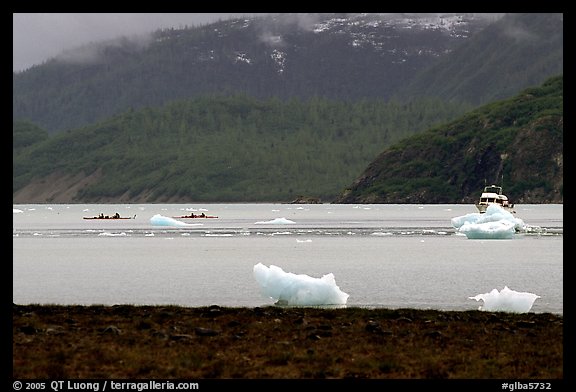 Taxi boat, kayaks, and icebergs near McBride Glacier. Glacier Bay National Park, Alaska
