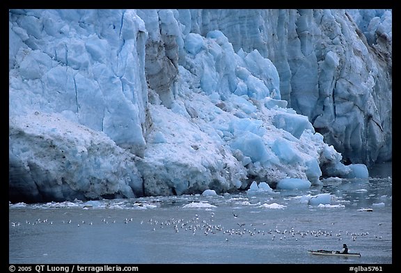 Kayaker bellow  the front of Lamplugh Glacier. Glacier Bay National Park, Alaska (color)