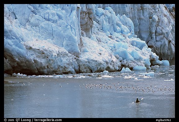 Kayaker at the base  of Lamplugh Glacier. Glacier Bay National Park, Alaska (color)