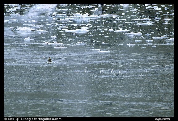 Kayaker paddling amongst icebergs. Glacier Bay National Park, Alaska