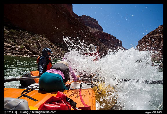 Incoming wave, Colorado River whitewater rafting. Grand Canyon National Park, Arizona