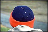 Hat covered with mosquitoes. Lake Clark National Park, Alaska (color)