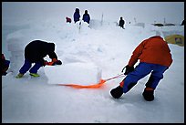 Building an igloo, which offers a very good weather protection.. Denali, Alaska ( color)