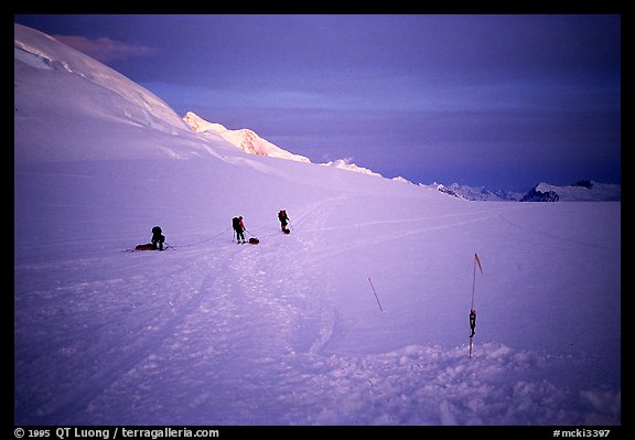 Traveling down with sleds. Denali, Alaska