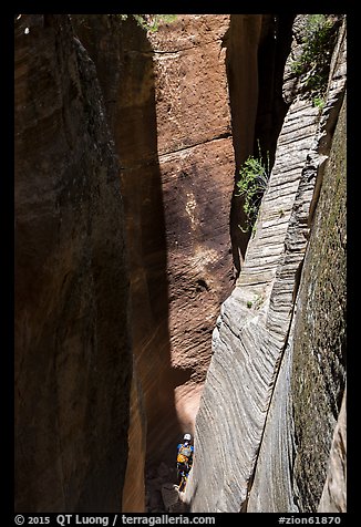Canyoneering in sunlit narrows, Mystery Canyon. Zion National Park, Utah (color)