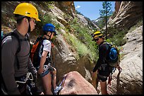 Hikers preparing to pass obstacle with ropes in Mystery Canyon. Zion National Park, Utah ( color)