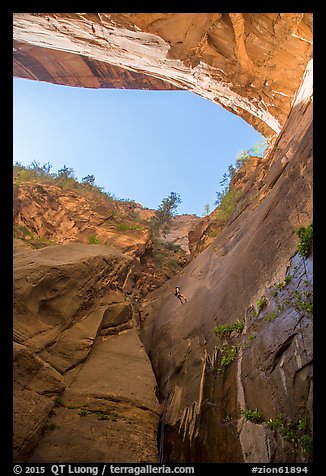 Canyoneer rappels in Mystery Springs alcove, Mystery Canyon. Zion National Park, Utah (color)