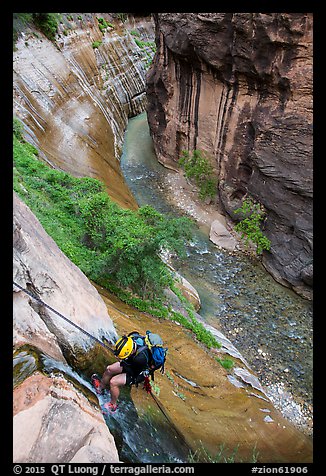 Canyoneer rappels into the Virgin River Narrows along Mystery Falls. Zion National Park, Utah (color)