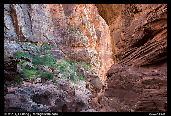 Hikers in Pine Creek Canyon. Zion National Park, Utah (color)