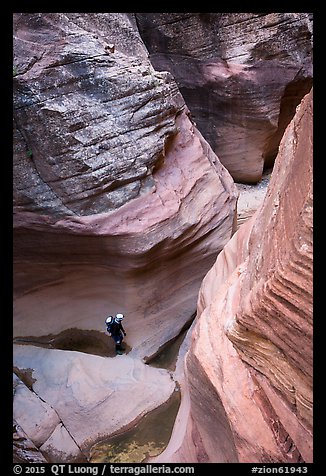 View from above of hiker walking in Pine Creek Canyon. Zion National Park, Utah (color)