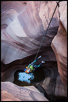 Free rappel seen from above in Pine Creek Canyon. Zion National Park, Utah ( color)