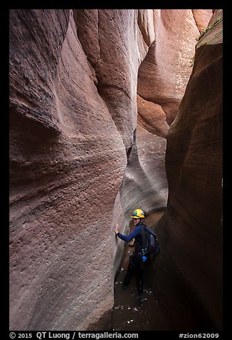 Hiker wading in the narrows of Keyhole Canyon. Zion National Park, Utah (color)