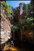Canyoneer about to land in pool in open section of Das Boot. Zion National Park, Utah ( color)
