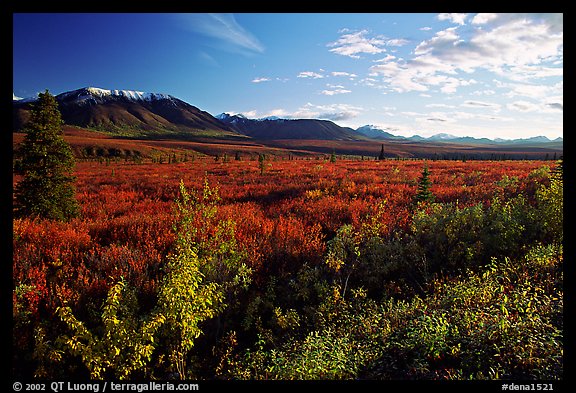 Alaska Range and tundra from near Savage River. Denali National Park (color)