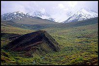 Hills and mountains near Sable Pass. Denali National Park, Alaska, USA. (color)